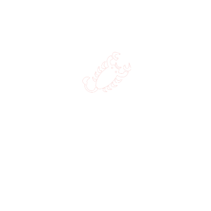 castelli copia@3x