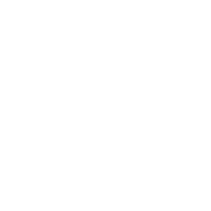 dynafit