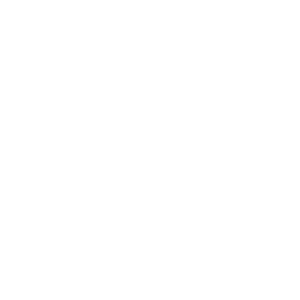salomon copia 2@3x